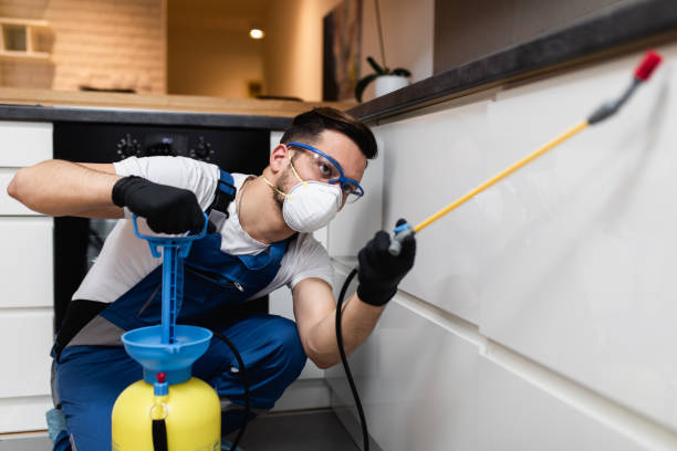 Best Rat Extermination Near Me  in Fair Oaks, VA