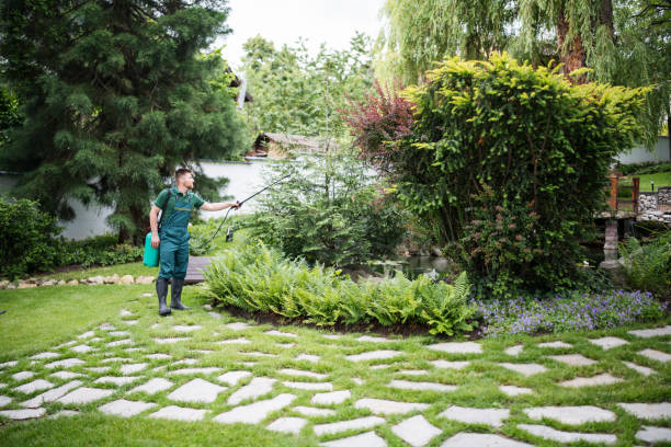 Best Wasp Removal Services  in Fair Oaks, VA