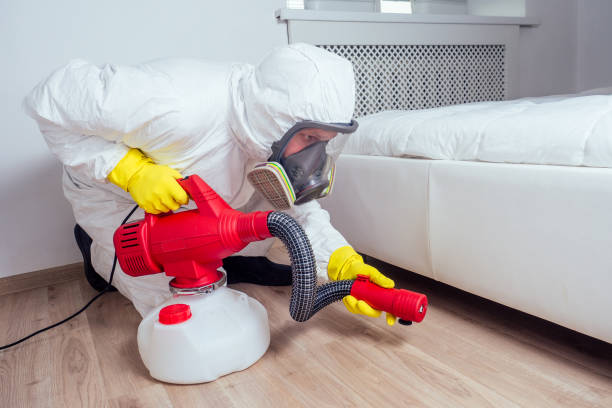 Best Insect Control  in Fair Oaks, VA